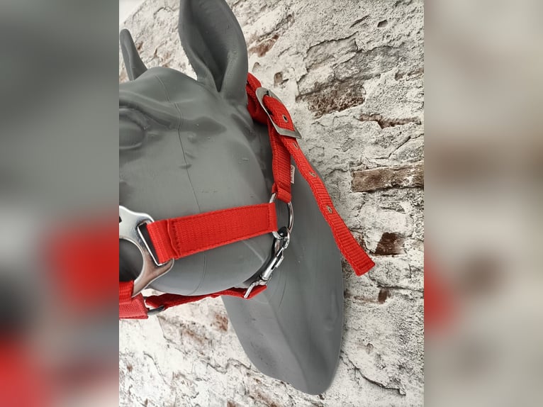 Halfter für Shetlandpony "Rot"