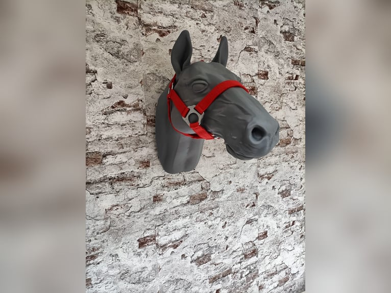 Halfter für Shetlandpony "Rot"