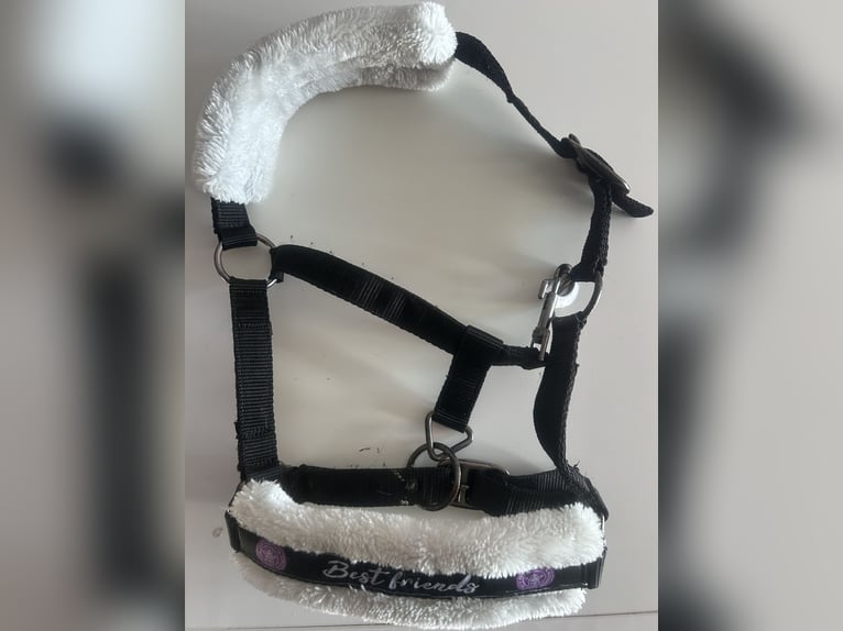 2halfter und 1 schabracke