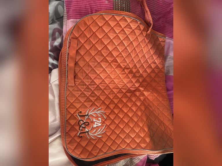 2halfter und 1 schabracke