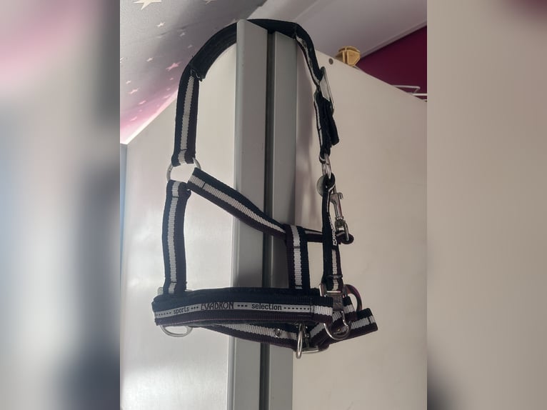 2halfter und 1 schabracke