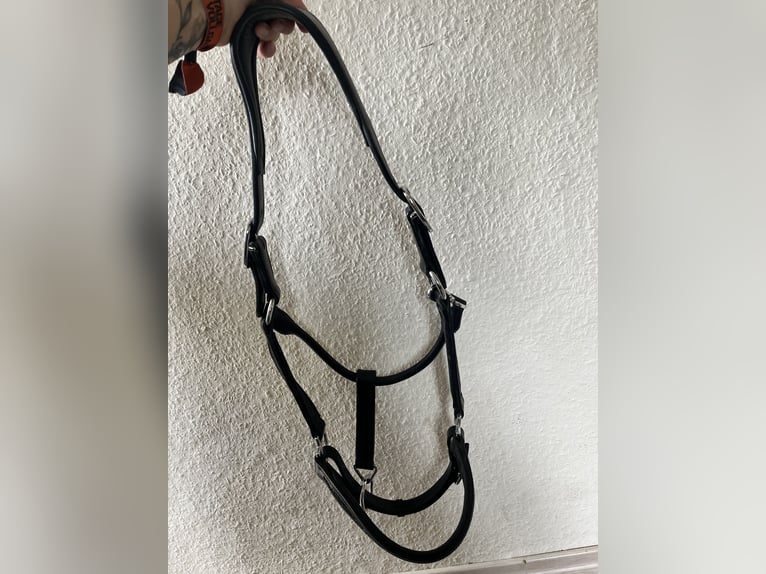 Aro Equi Lederhalfter, Schwarz, Größe WB