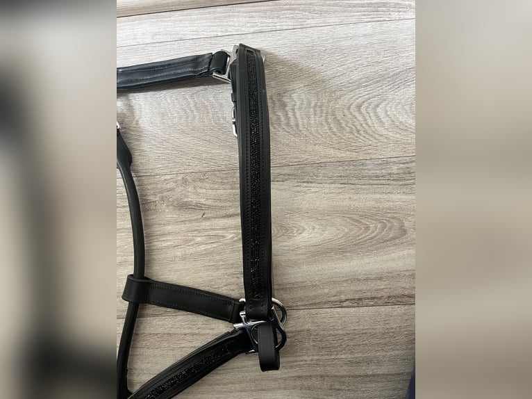 Aro Equi Lederhalfter, Schwarz, Größe WB