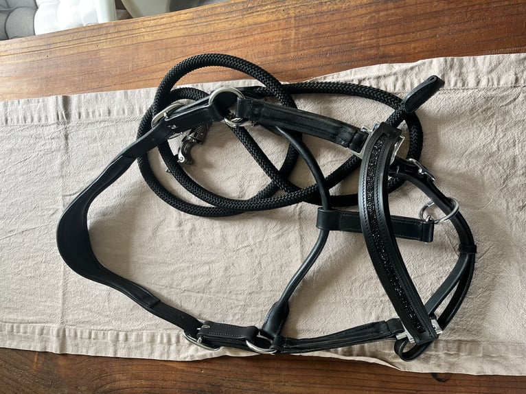 Aro Equi Lederhalfter, Schwarz, Größe WB