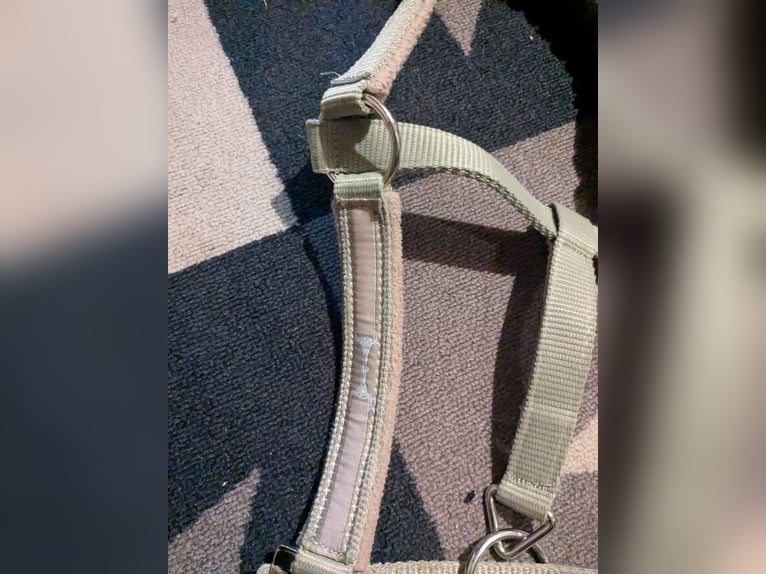 Bin sehr zufrieden Frieden mit der Marke 