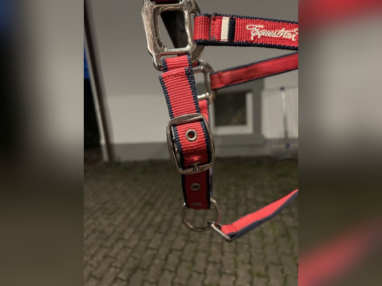 Edles Felix Bühler Halfter WB