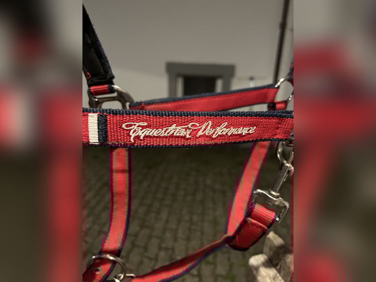 Edles Felix Bühler Halfter WB
