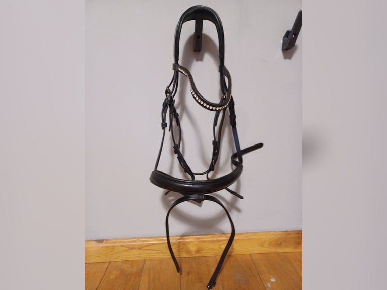 Eleganter Lederzaum Warmblut Claridge House Marley von Krämer