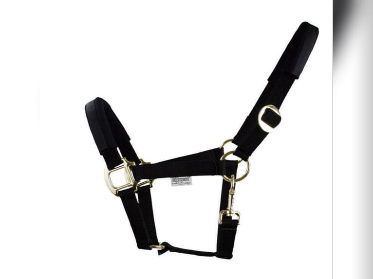 EQuest Halfter Equi-Stretch schwarz WB