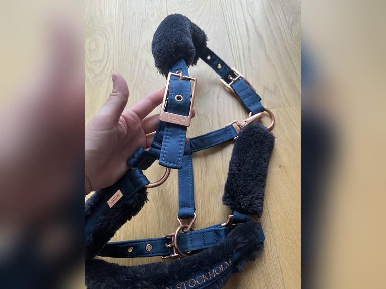 Equestrian Stockholm Halfter Set Monaco Blue WB