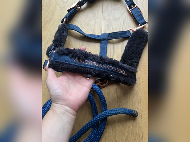 Equestrian Stockholm Halfter Set Monaco Blue WB