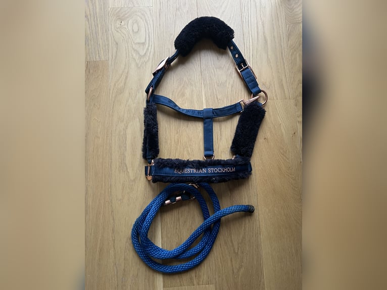 Equestrian Stockholm Halfter Set Monaco Blue WB