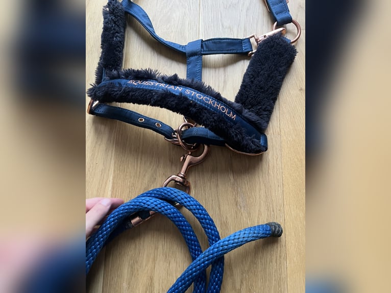 Equestrian Stockholm Halfter Set Monaco Blue WB