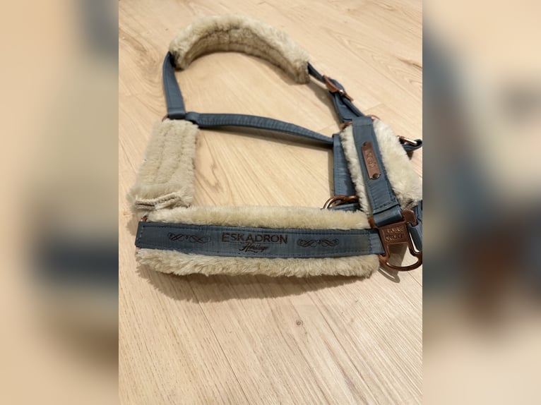 Eskadron Halfter Heritage 2018 Ashblue
