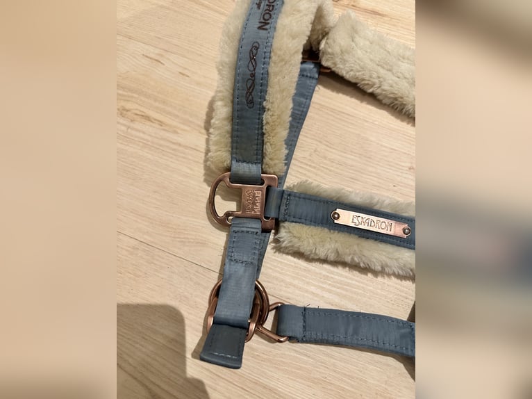 Eskadron Halfter Heritage 2018 Ashblue