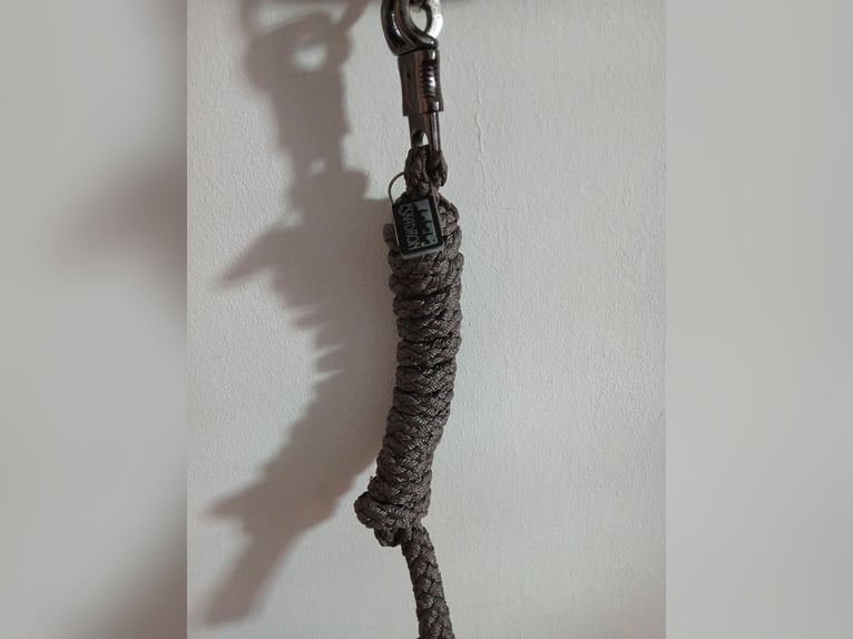 Eskadron Halfter mit Strick