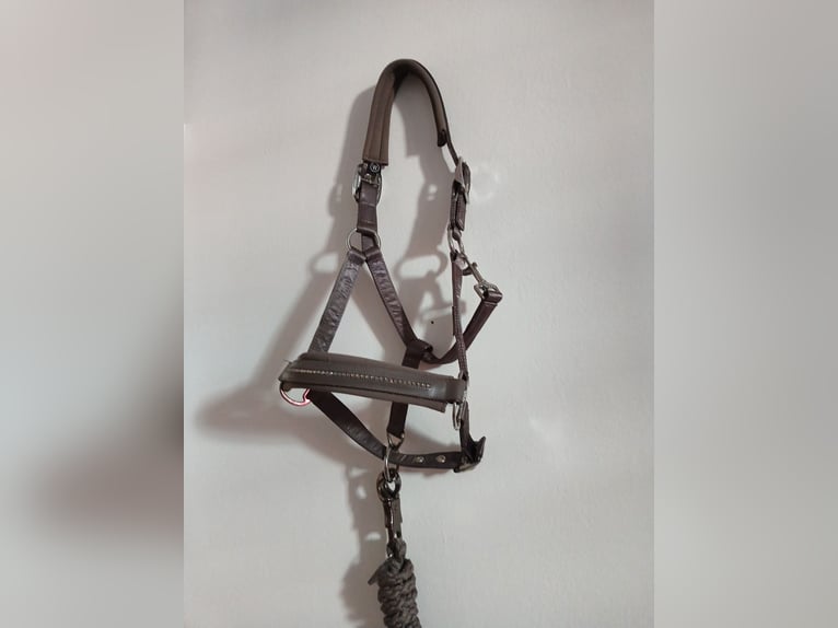 Eskadron Halfter mit Strick