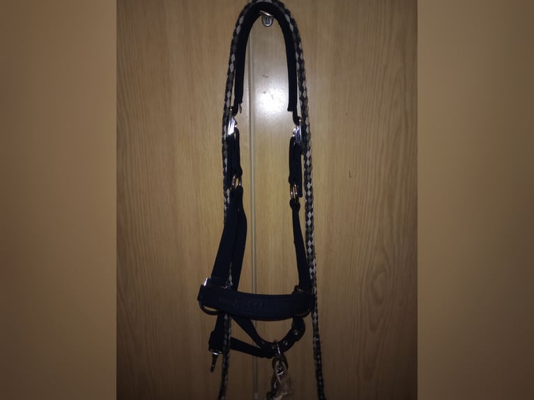 Eskadron Halfter mit Strick Eskadron Halfter mit Strick