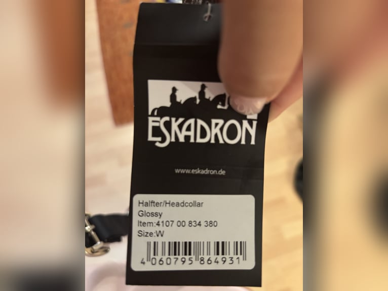 Eskadron Halfter (NEU)