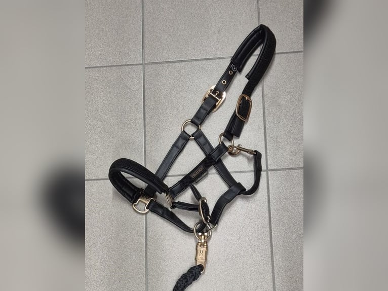 ESKADRON Halfter Platinum Edition schwarz Gr. V (VB) mit Strick