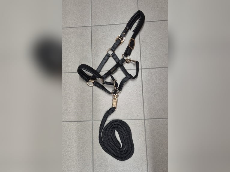 ESKADRON Halfter Platinum Edition schwarz Gr. V (VB) mit Strick