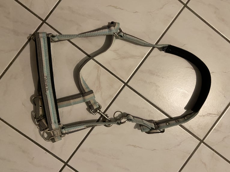 Eskadron Halfter Vollblut  Eskadron Halfter Vollblut