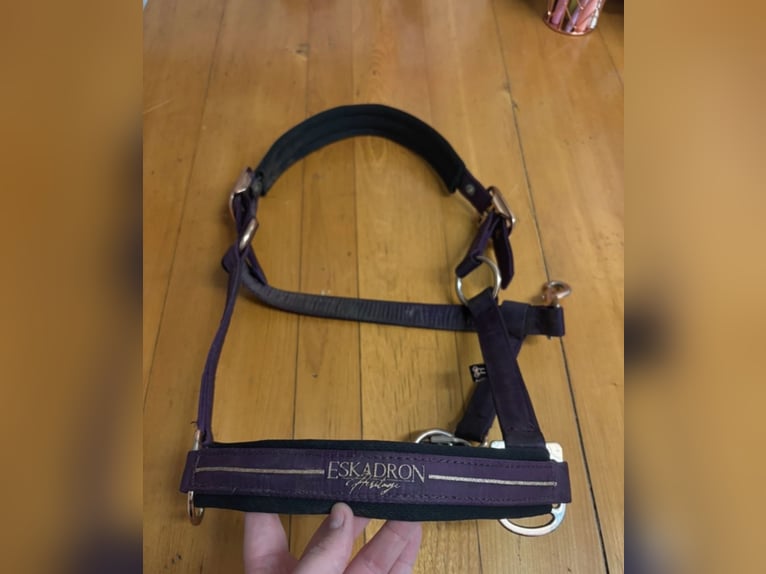 Eskadron Heritage Halfter WB