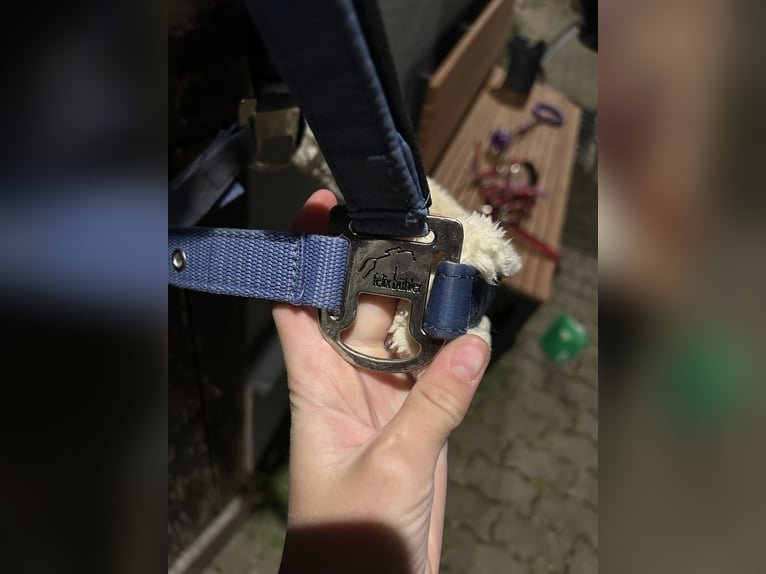 Felix Bühler WB babyblau 