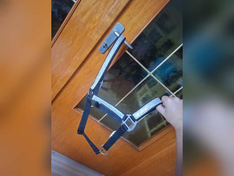 Glitzerhalfter Größe VB/COB Loesdau