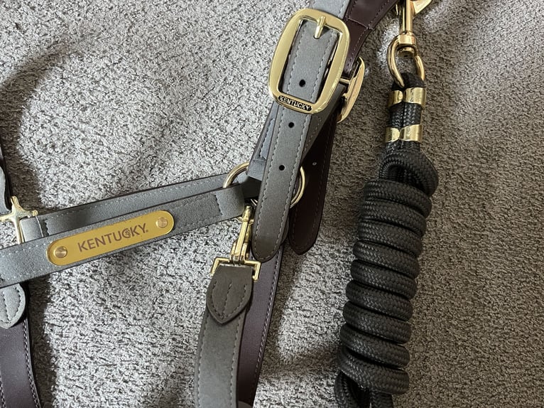 Graues Kentucky Halfter