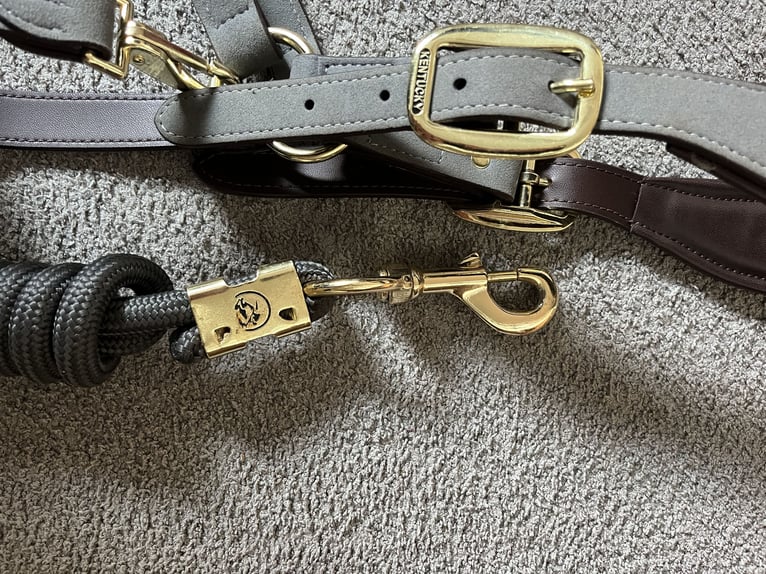 Graues Kentucky Halfter
