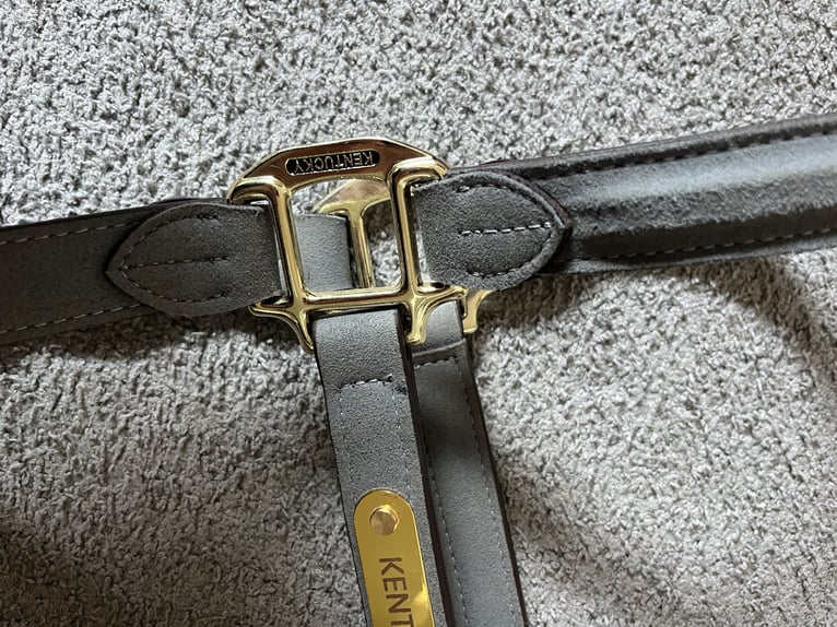 Graues Kentucky Halfter