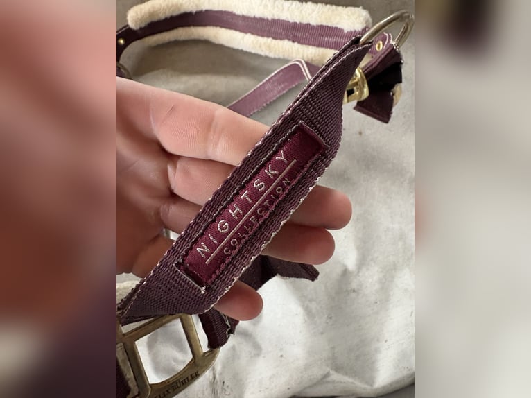 Halfter Felix Bühler Nightsky 