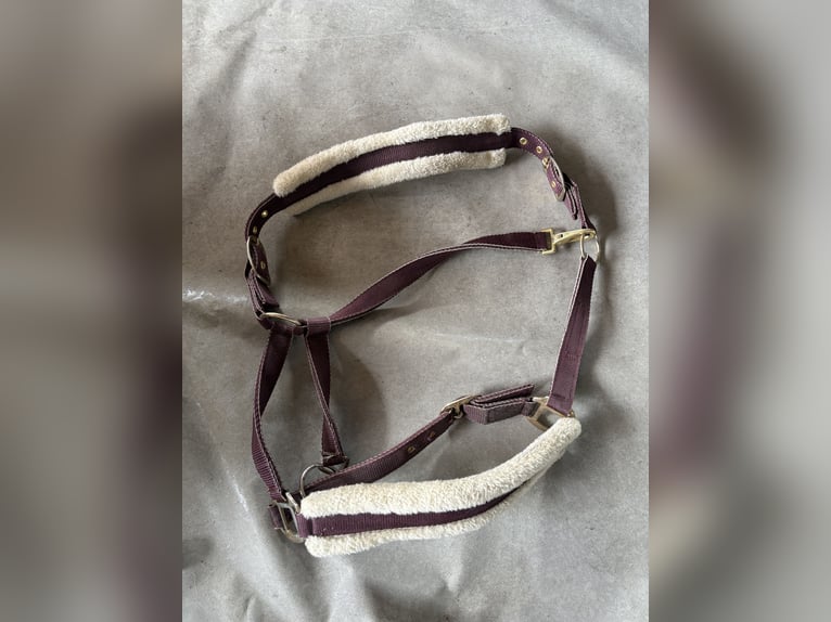 Halfter Felix Bühler Nightsky 