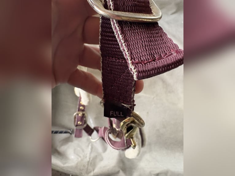 Halfter Felix Bühler Nightsky 