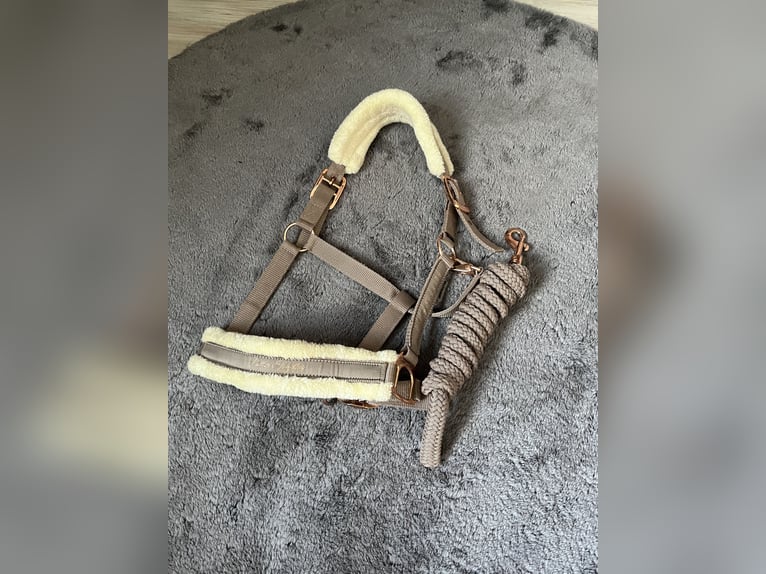 Halfter mit Strick Größe Cob