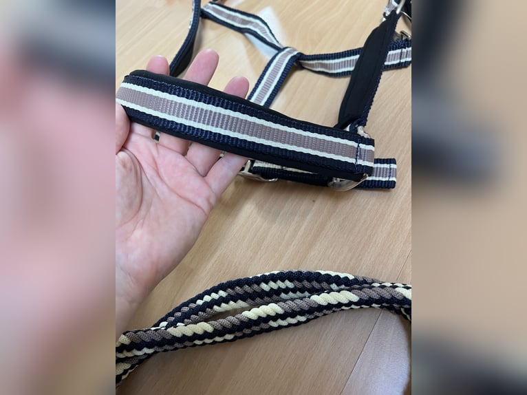 Halfter Set Showmaster - WB - NEU