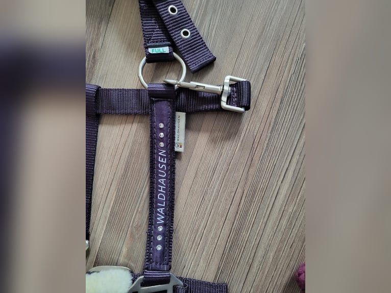 Halfter und Strick Waldhausen Gr. Full lila neu