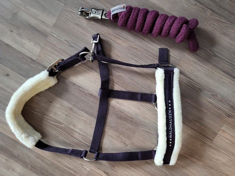 Halfter und Strick Waldhausen Gr. Full lila neu