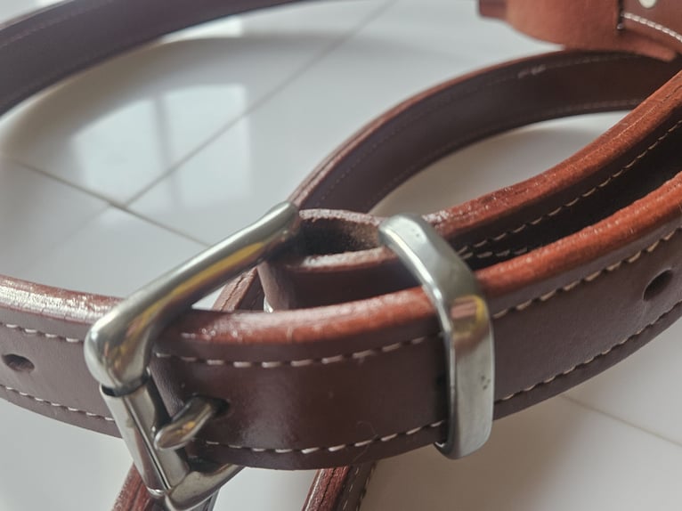 Halsriemen aus Leder neu und hochwertig