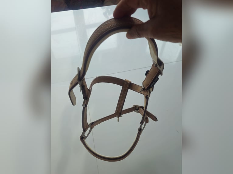 Harry`s Horse Halfter cremello aus Leder beige