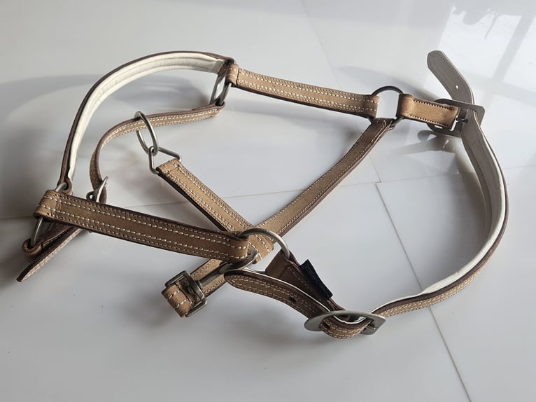 Harry`s Horse Halfter cremello aus Leder beige