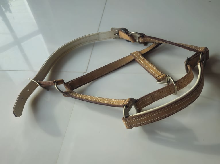 Harry`s Horse Halfter cremello aus Leder beige