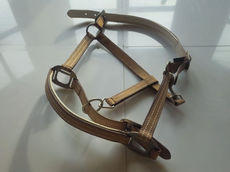 Harry`s Horse Halfter cremello aus Leder beige