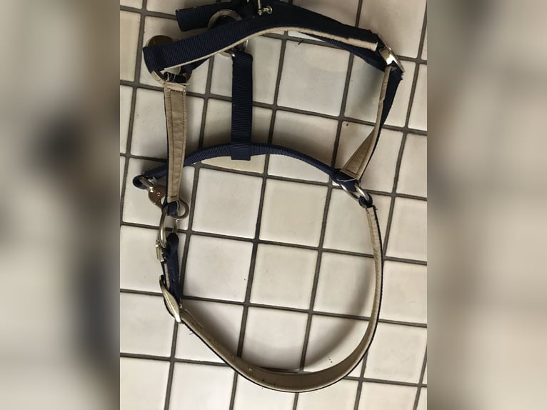 HV Polo Halfter WB / Full