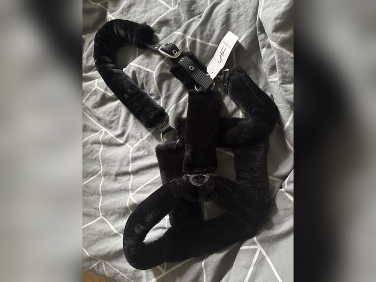 Ich verkaufe Halfter und Strick 2 Stück 