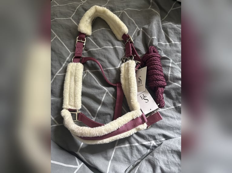 Ich verkaufe Halfter und Strick 2 Stück 