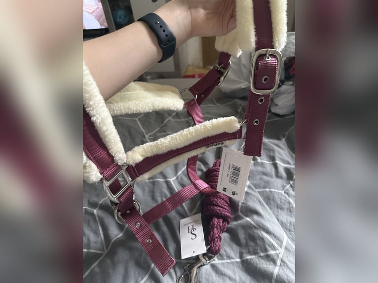 Ich verkaufe Halfter und Strick 2 Stück 