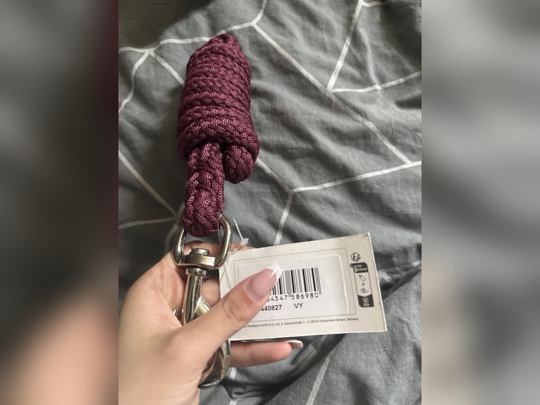 Ich verkaufe Halfter und Strick 2 Stück 