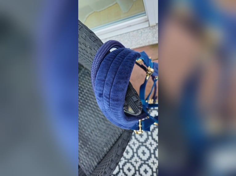 Kentucky Halfter Glitter Stone mit Führstrick - VB - Navy